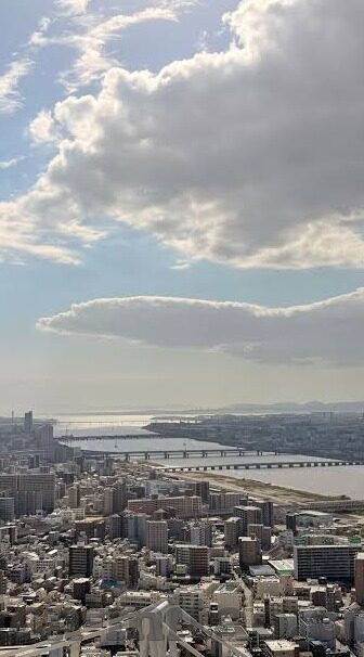 91麻豆国产网-91麻豆国产网的绿色考量，献给网络世界的清新之风