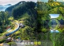 大象传媒视频在线-探索大象传媒视频在线的多元化内容与影响