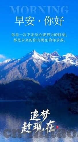 大象传媒网站地址-探索大象传媒，网络文化的广阔舞台