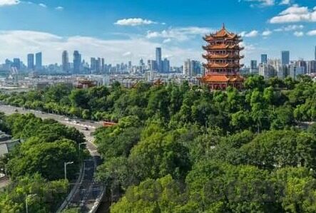麻豆经济传媒app下载-轻松掌握，如何安全下载与使用手机应用