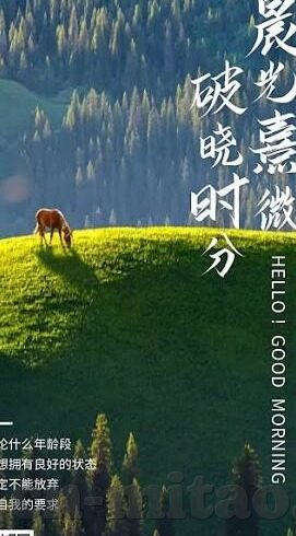 糖心app下载成人-探索成人内容平台的边界，以糖心app为例的深度洞察