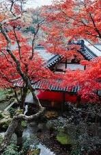 在线播放蜜桃麻豆精东av-蜂鸟影院，查找和欣赏在线影视的新模块——兼谈影片推荐的那些事儿